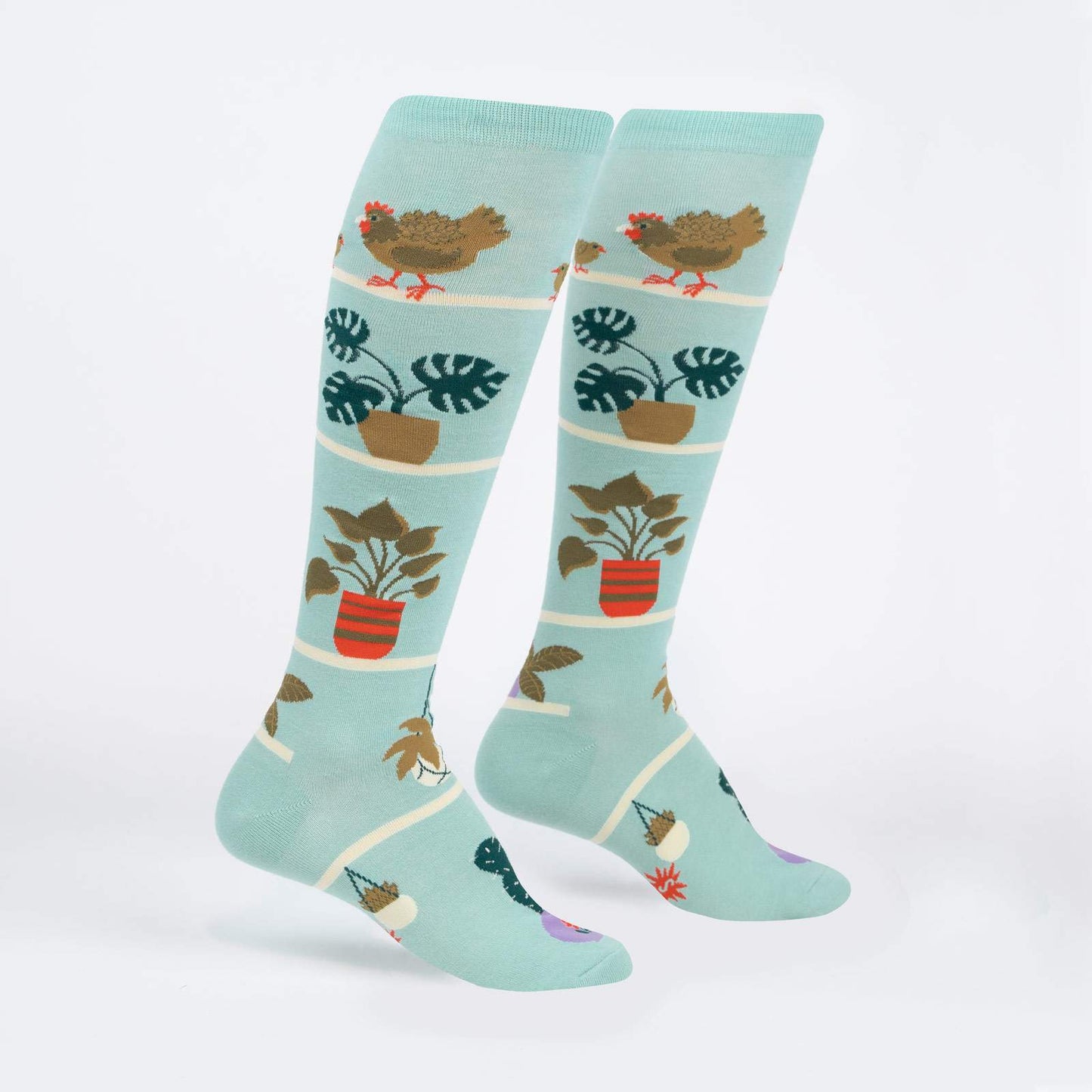 Sock it to Me - Hen & Chick Knee High Socks