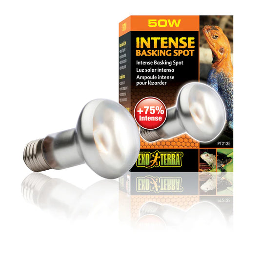 Intense Basking Spot Lamp 50w